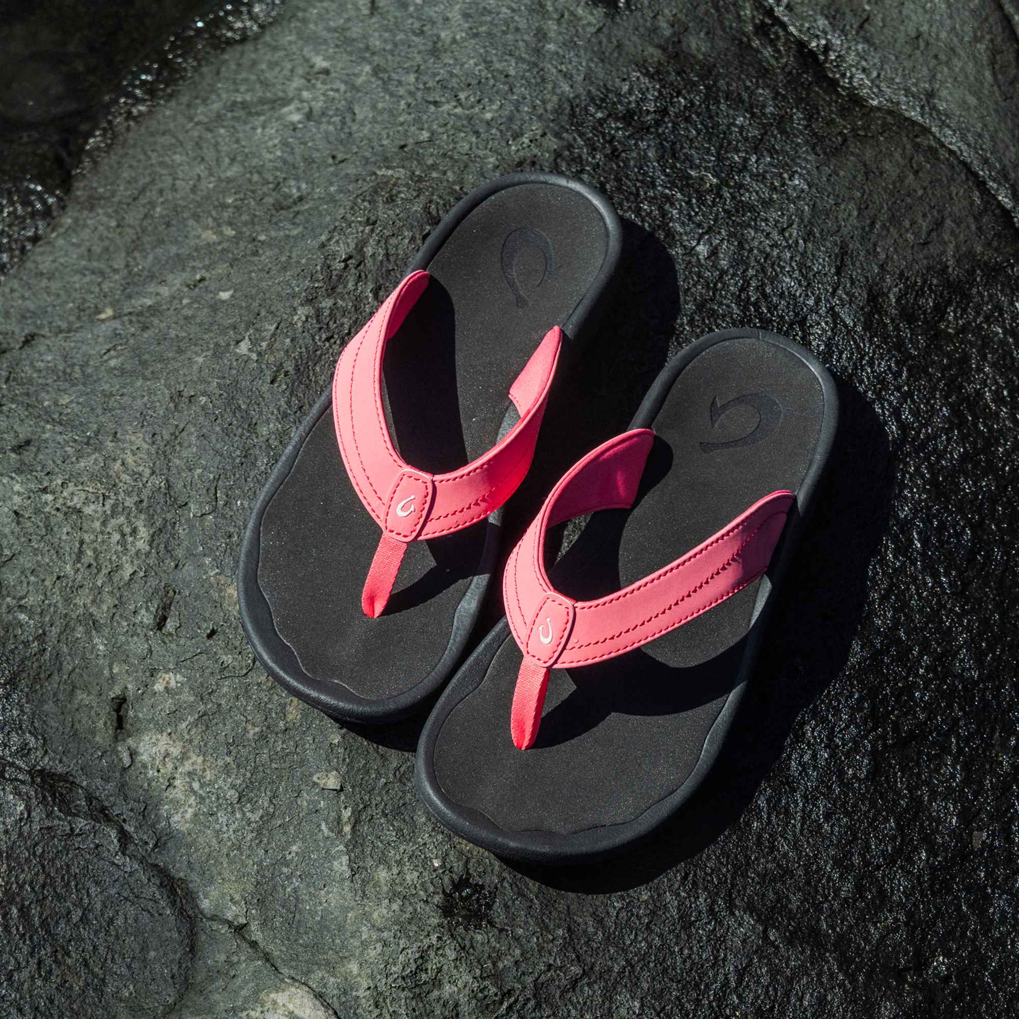 'Ohana - Hot Pink / Black - Image 2