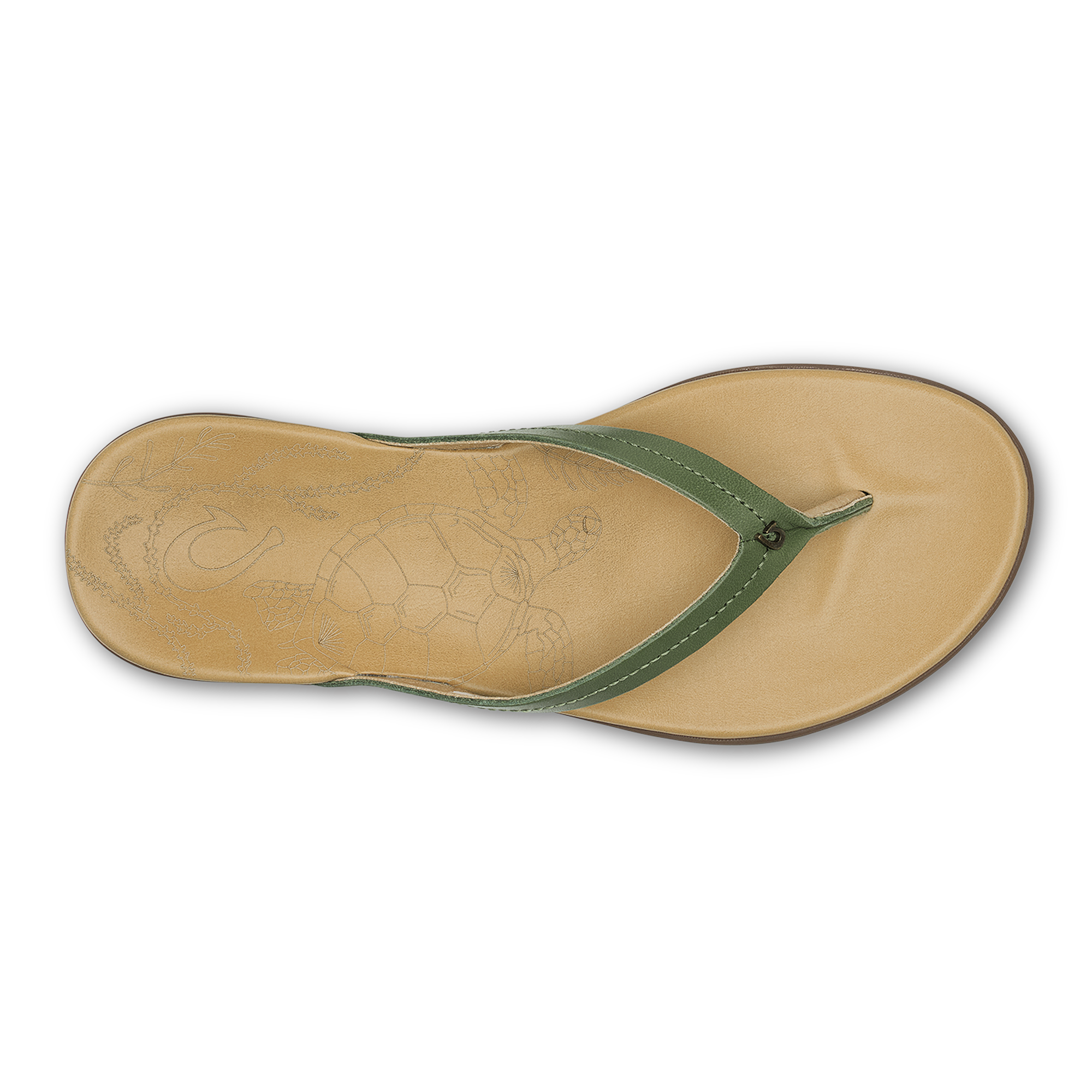 Honu - Green Olive / Golden Sand - Image 3